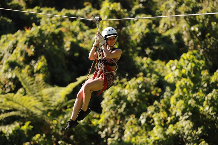 Cruiseship Zipline Adventure Tour with SkyBridge in Vanuatu