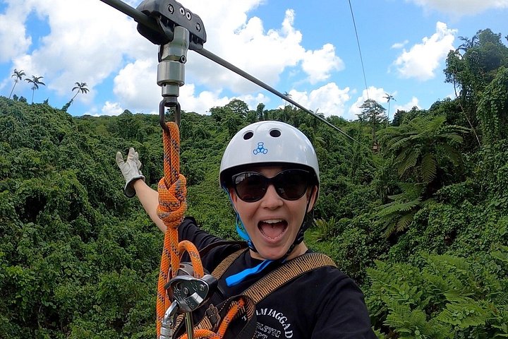 Cruiseship Zipline Adventure Tour with SkyBridge in Vanuatu
