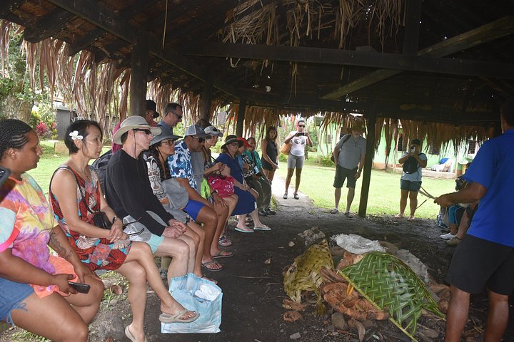 Jewel Of Fiji Day Tour from The Marriot & Shangri-La Resort