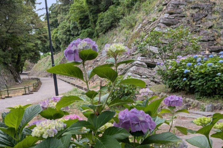 Wakayama: The Tokugawa Castle That Guarded the Southern Coast