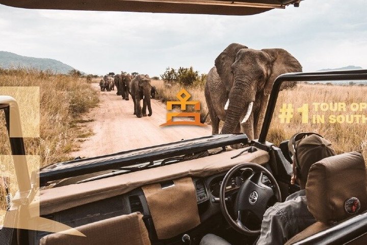 Full Day Ultimate Pilanesberg National Park Safari from Johannesburg or Pretoria