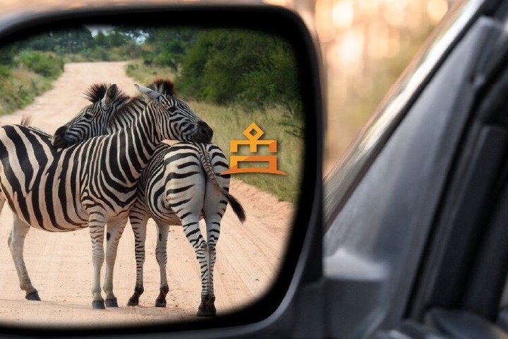 Full Day Ultimate Pilanesberg National Park Safari from Johannesburg or Pretoria