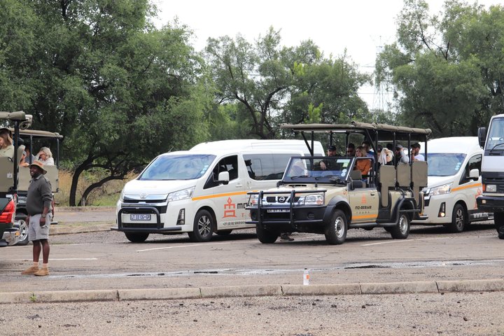Full Day Ultimate Pilanesberg National Park Safari from Johannesburg or Pretoria