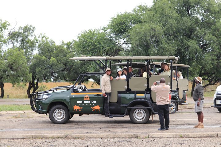 Full Day Ultimate Pilanesberg National Park Safari from Johannesburg or Pretoria