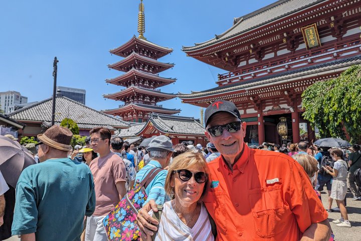 Tokyo in 1 Day from Yokohama: Private Tour, Licensed Guide