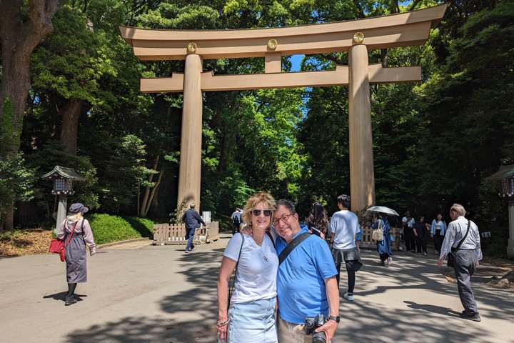 Tokyo in 1 Day from Yokohama: Private Tour, Licensed Guide