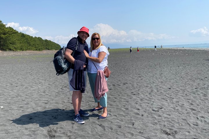 Shimizu Shore Excursion: Mt. Fuji View Tour, Licensed Guide