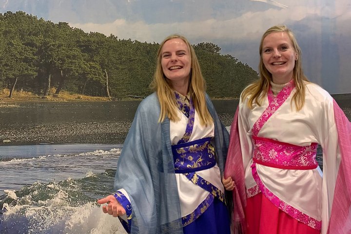 Shimizu Shore Excursion: Mt. Fuji View Tour, Licensed Guide