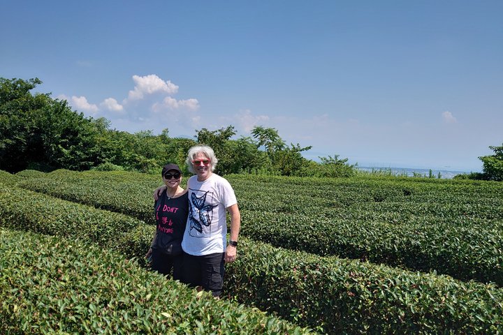 Shimizu Shore Excursion: Mt. Fuji View Tour, Licensed Guide