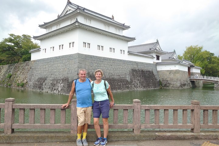 Shimizu Shore Excursion: Mt. Fuji View Tour, Licensed Guide