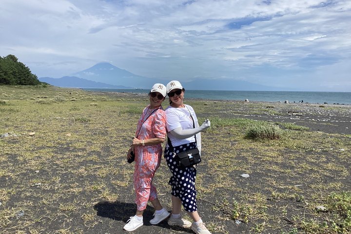 Shimizu Shore Excursion: Mt. Fuji View Tour, Licensed Guide