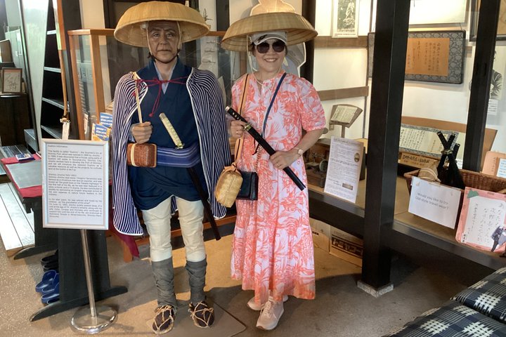 Shimizu Shore Excursion: Mt. Fuji View Tour, Licensed Guide