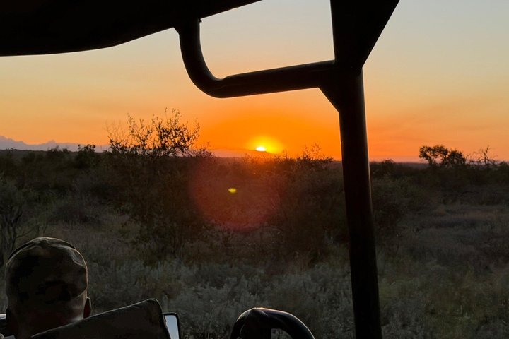 Full Day Ultimate Pilanesberg National Park Safari from Johannesburg or Pretoria