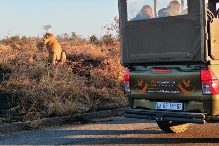 Full Day Pilanesberg Safari Adventure