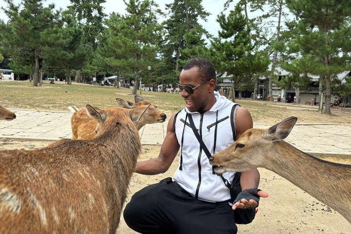 Nara Customized Private Tour in 1 Day with Licensed Guide