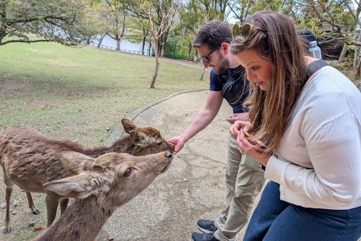 Nara Customized Private Tour in 1 Day with Licensed Guide