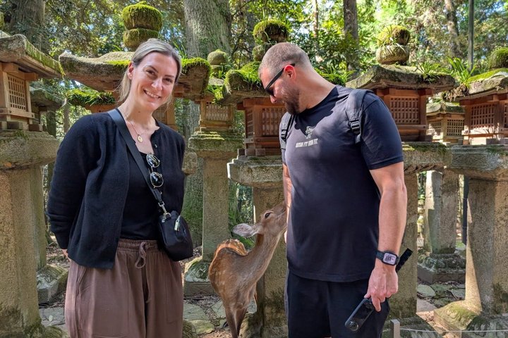 Nara Customized Private Tour in 1 Day with Licensed Guide