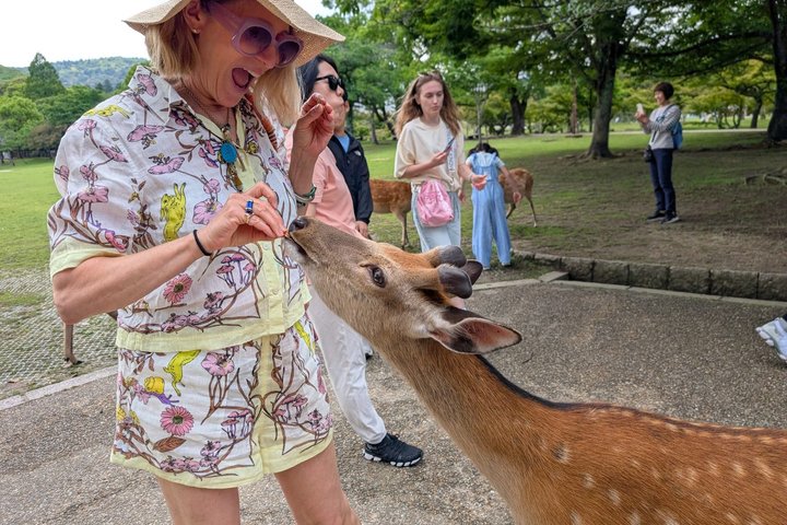 Nara Customized Private Tour in 1 Day with Licensed Guide