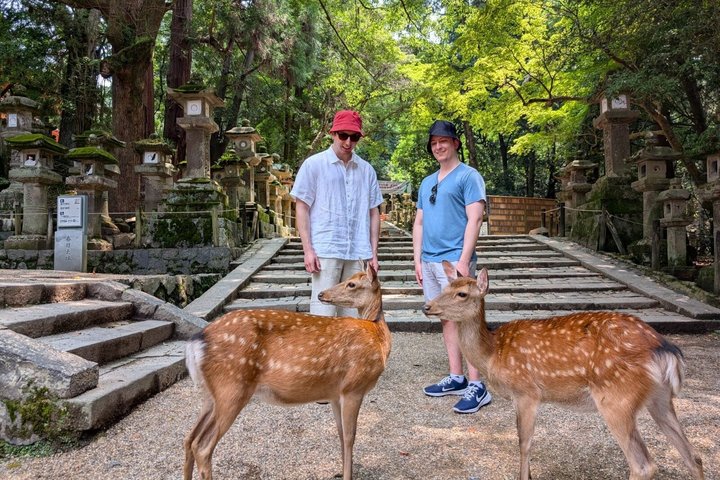 Nara Customized Private Tour in 1 Day with Licensed Guide