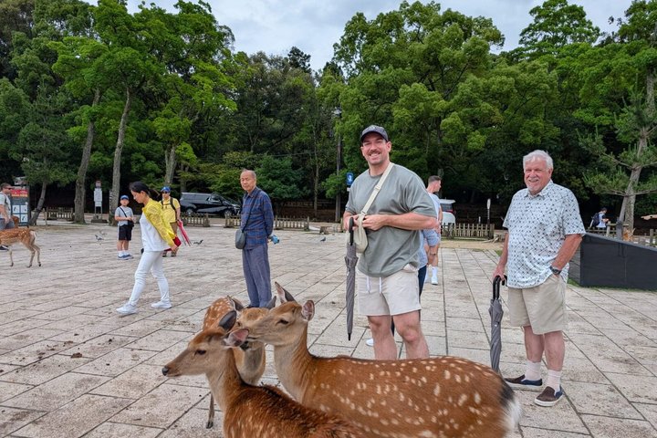 Nara Customized Private Tour in 1 Day with Licensed Guide