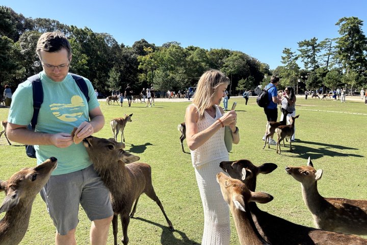 Nara Customized Private Tour in 1 Day with Licensed Guide
