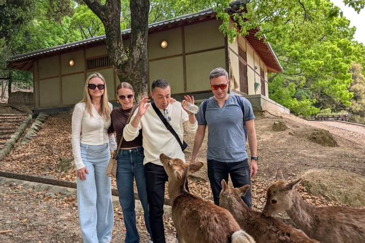 Nara Customized Private Tour in 1 Day with Licensed Guide