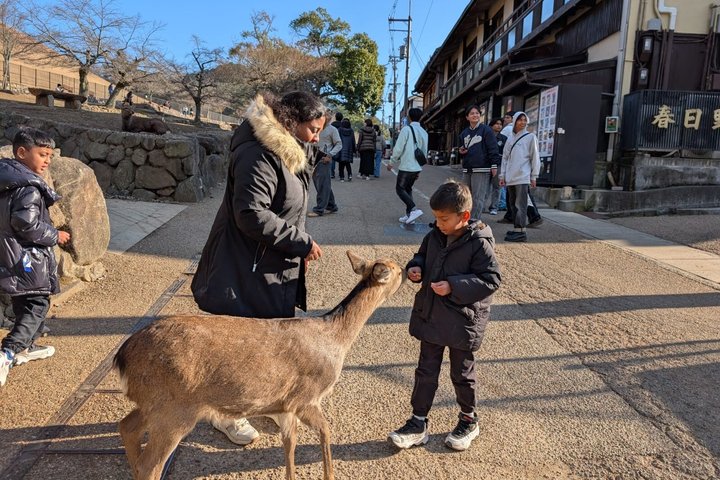 Nara Customized Private Tour in 1 Day with Licensed Guide