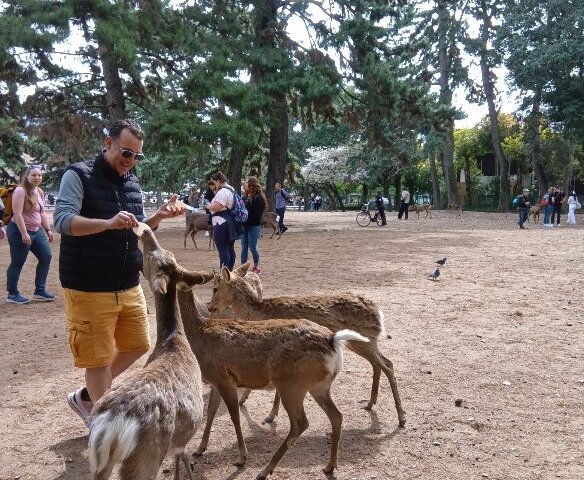 Nara Customized Private Tour in 1 Day with Licensed Guide