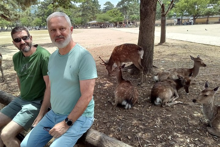 Nara Day Trip from Osaka by Private Car with Licensed Guide