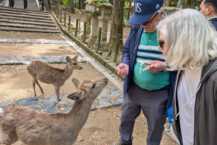 Nara Day Trip from Osaka by Private Car with Licensed Guide