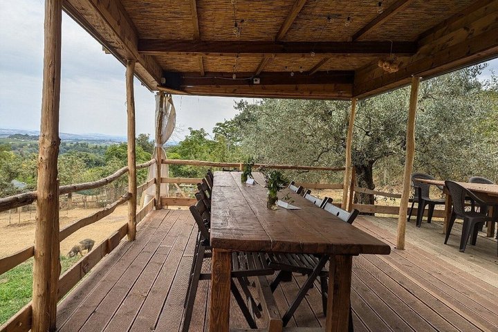 Montepulciano: Cinta Senese Farm Tour, Food Tasting & wine