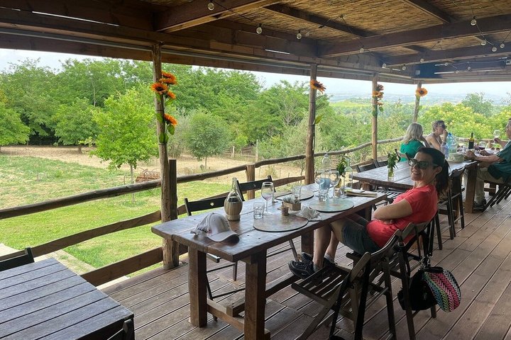 Montepulciano: Cinta Senese Farm Tour, Food Tasting & wine