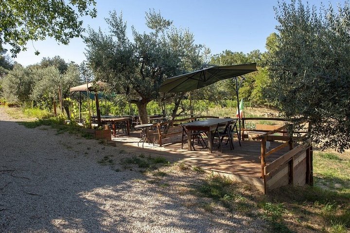 Montepulciano: Cinta Senese Farm Tour, Food Tasting & wine
