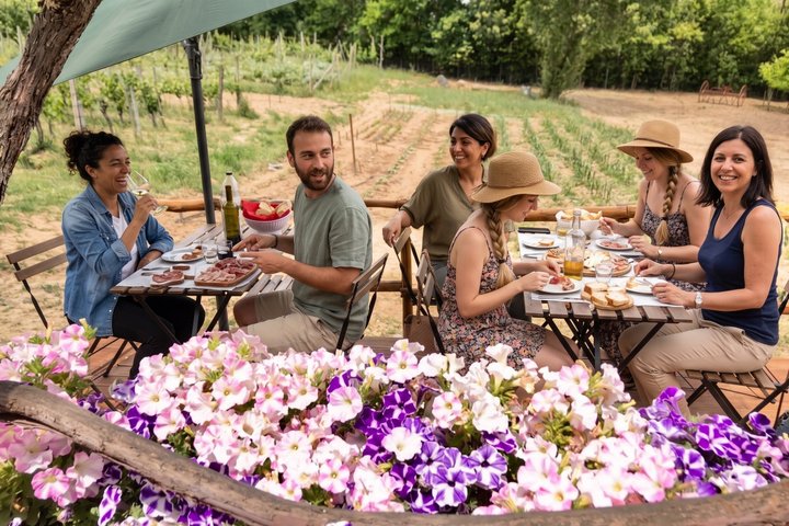 Montepulciano: Cinta Senese Farm Tour, Food Tasting & wine