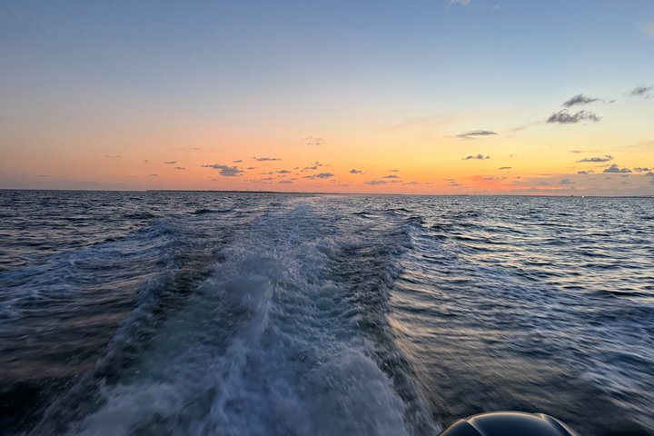 Fort Myers Beach Sunset and Dolphin Watching Cruise