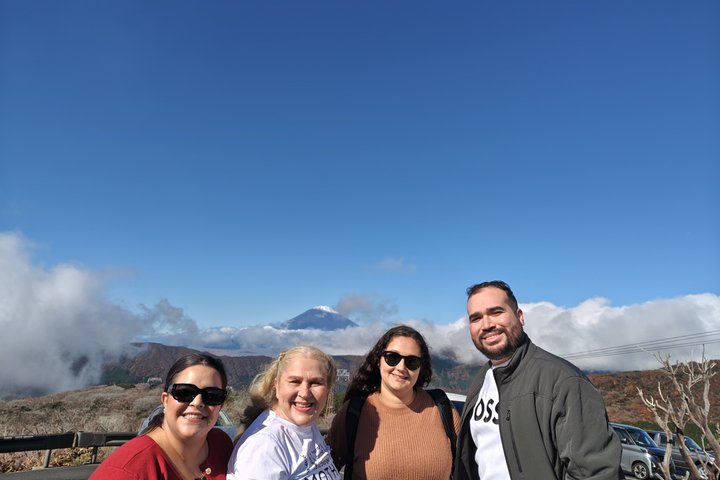 Hakone in 1 Day by Private Car with Licensed Guide