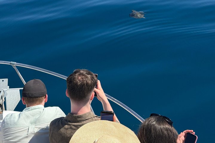 Boat Tour with Snorkeling, Slide, Lunch and Pick Up