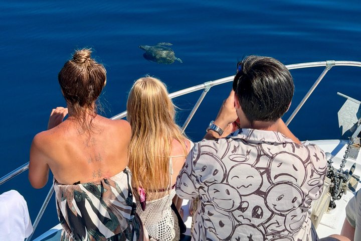 Boat Tour with Snorkeling, Slide, Lunch and Pick Up