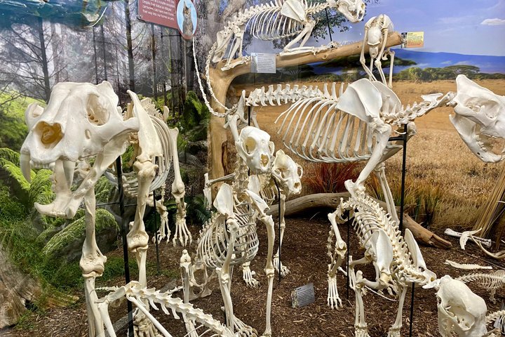 SKELETONS: Museum of Osteology General Admission - Oklahoma City