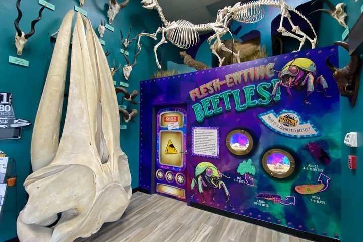 SKELETONS: Museum of Osteology General Admission - Oklahoma City