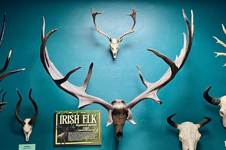 SKELETONS: Museum of Osteology General Admission - Oklahoma City