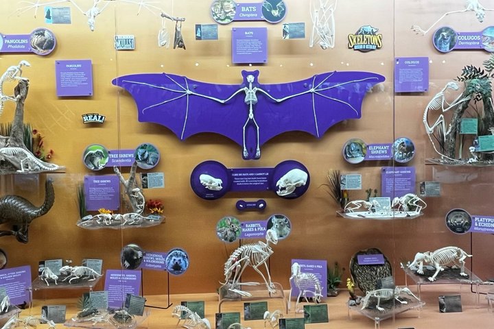 SKELETONS: Museum of Osteology General Admission - Oklahoma City