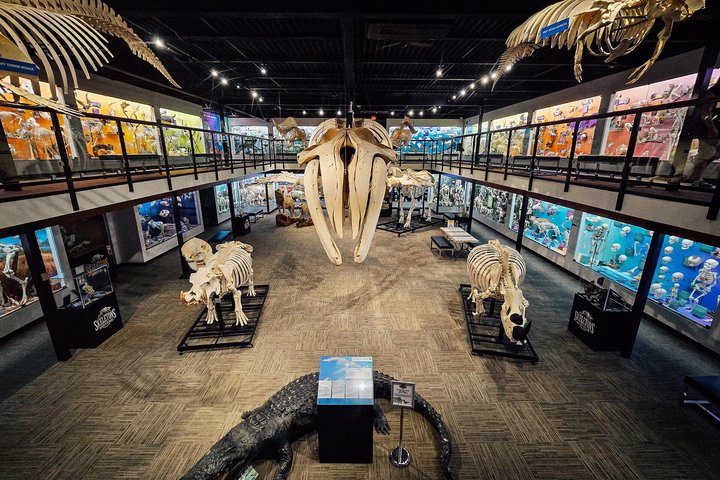 SKELETONS: Museum of Osteology General Admission - Oklahoma City