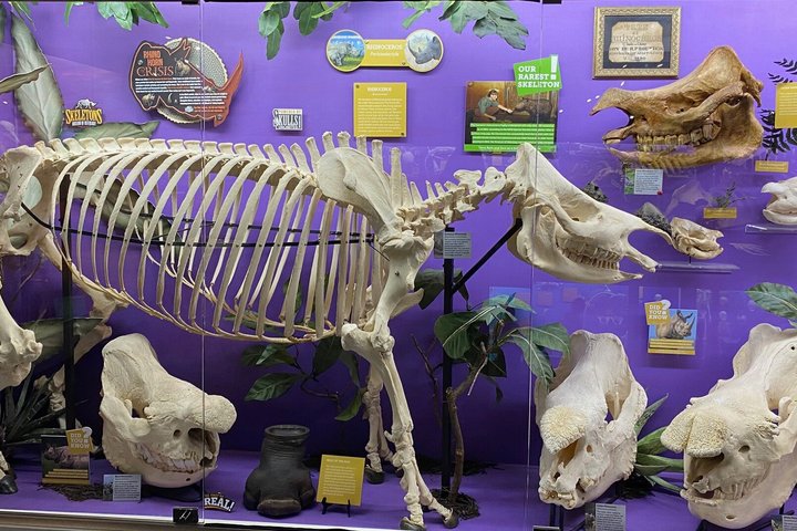 SKELETONS: Museum of Osteology General Admission - Oklahoma City