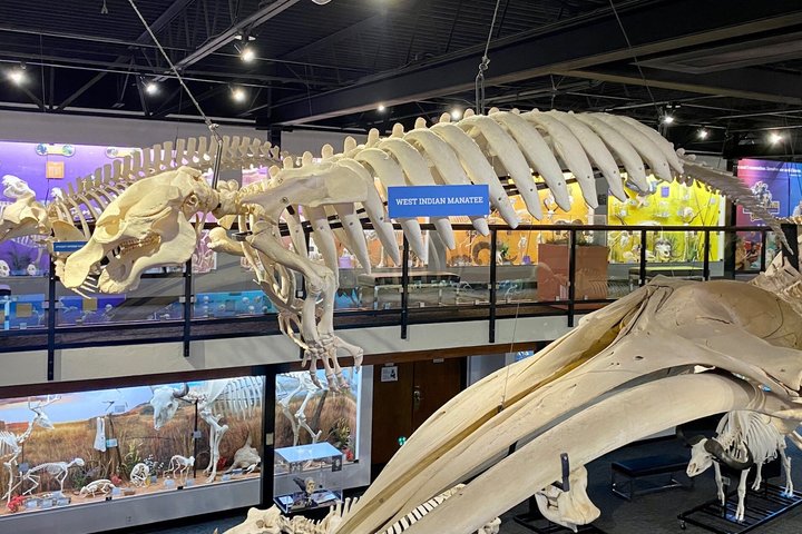 SKELETONS: Museum of Osteology General Admission - Oklahoma City
