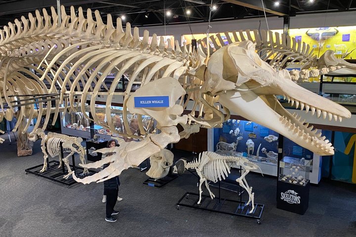 SKELETONS: Museum of Osteology General Admission - Oklahoma City