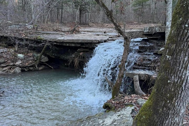 Guided UTV Adventure in Ozark National Forest - 3 Hour Tour