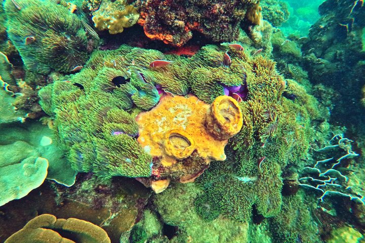 Phu Quoc: Discovery Snorkeling Tour with Island BBQ (Max 12 pax)