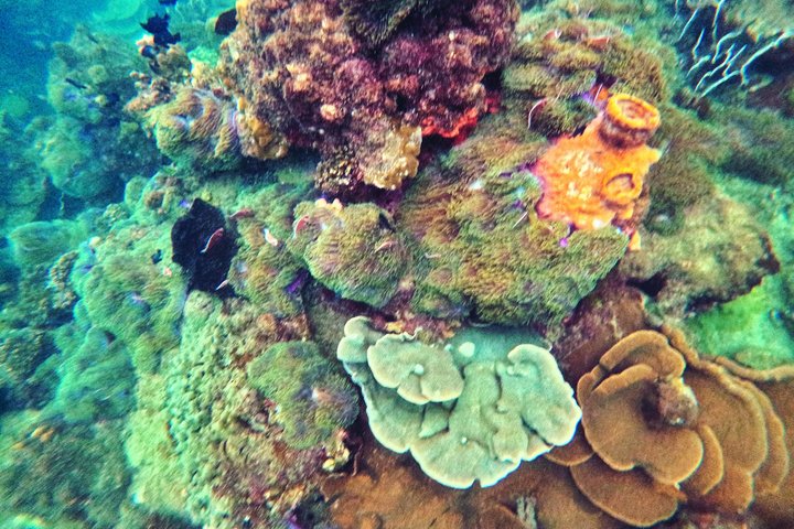 Phu Quoc: Discovery Snorkeling Tour with Island BBQ (Max 12 pax)