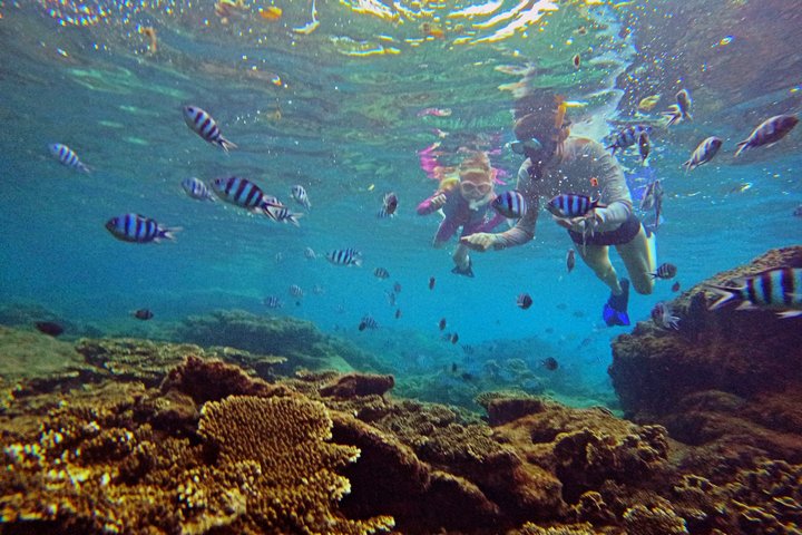 Phu Quoc: Discovery Snorkeling Tour with Island BBQ (Max 12 pax)